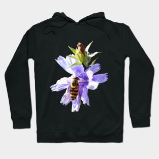 Signs of Summer Hoodie